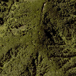 Satellite imagery of A TAUAKIRA, NZ