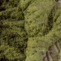 Satellite imagery of A TAUAKIRA, NZ