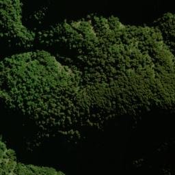 Satellite imagery of Papakiakuta Ridge, NZ