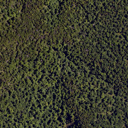 Satellite imagery of Colenso Spur, NZ