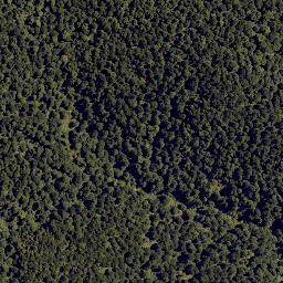 Satellite imagery of Colenso Spur, NZ