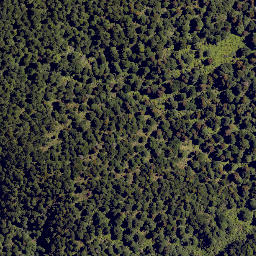 Satellite imagery of Colenso Spur, NZ