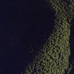 Satellite imagery of Colenso Spur, NZ