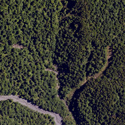 Satellite imagery of Colenso Spur, NZ