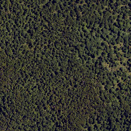 Satellite imagery of Colenso Spur, NZ