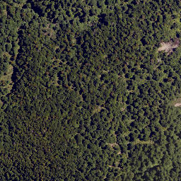 Satellite imagery of Colenso Spur, NZ