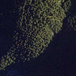 Satellite imagery of Colenso Spur, NZ