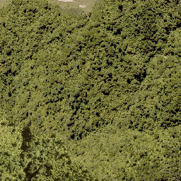 Satellite imagery of TAKIHI, NZ