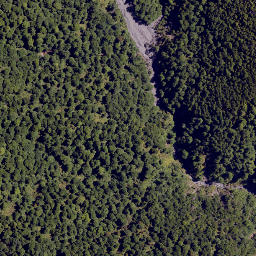 Satellite imagery of Colenso Spur, NZ