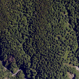 Satellite imagery of Colenso Spur, NZ