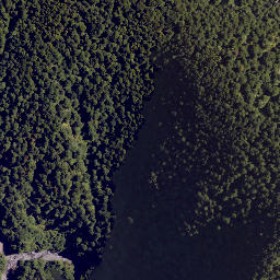 Satellite imagery of Colenso Spur, NZ