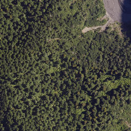Satellite imagery of Colenso Spur, NZ