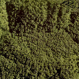 Satellite imagery of TAKIHI, NZ