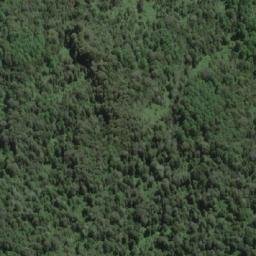 Satellite imagery of Cerro Bandurria, CL