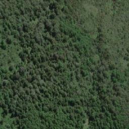 Satellite imagery of Cerro Bandurria, CL