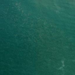 Satellite imagery of 12991, NZ