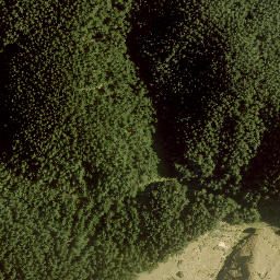 Satellite imagery of A13 NO 2, NZ