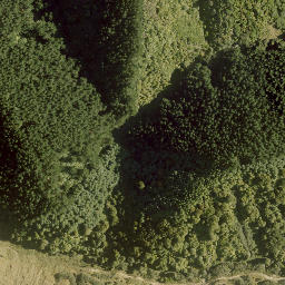 Satellite imagery of A13 NO 2, NZ