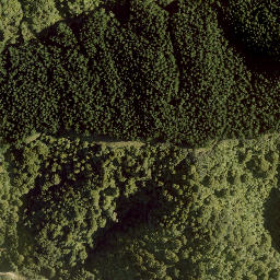 Satellite imagery of A13 NO 2, NZ
