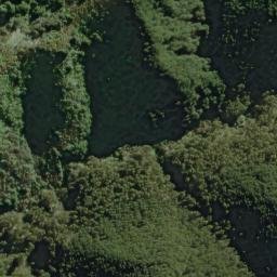 Satellite imagery of Wanganui, NZ