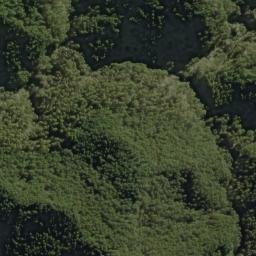 Satellite imagery of Wanganui, NZ