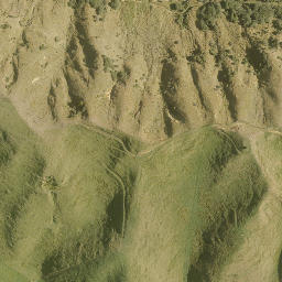 Satellite imagery of A13 NO 2, NZ