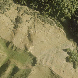 Satellite imagery of A13 NO 2, NZ