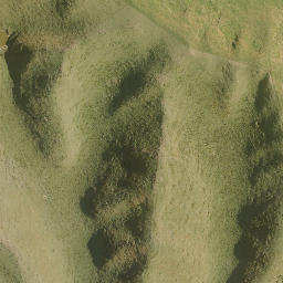 Satellite imagery of A13 NO 2, NZ