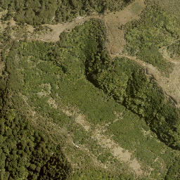 Satellite imagery of Parikino Pa, NZ