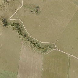 Satellite imagery of 8 NO 2, NZ