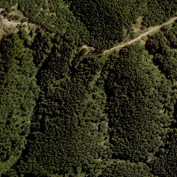 Satellite imagery of TUTU, NZ