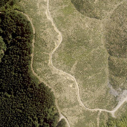 Satellite imagery of TUTU, NZ