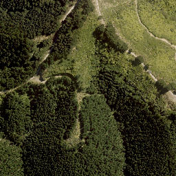 Satellite imagery of TUTU, NZ