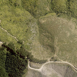 Satellite imagery of TUTU, NZ
