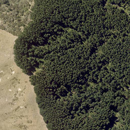 Satellite imagery of MUNGAROA NO 2, NZ