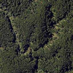 Satellite imagery of MUNGAROA NO 2, NZ