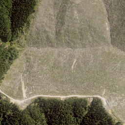 Satellite imagery of TUTU, NZ