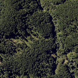 Satellite imagery of MUNGAROA NO 2, NZ