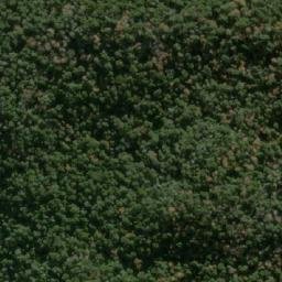 Satellite imagery of Cerro Maltusado, CL