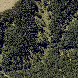 Satellite imagery of MUNGAROA NO 2, NZ