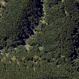 Satellite imagery of MUNGAROA NO 2, NZ