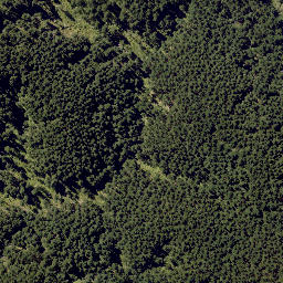 Satellite imagery of MUNGAROA NO 2, NZ