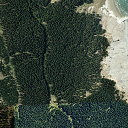 Satellite imagery of Te Puku, NZ