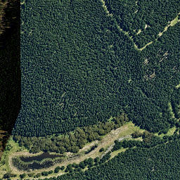 Satellite imagery of Te Wainohu, NZ