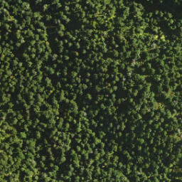 Satellite imagery of Dirty Spur, NZ