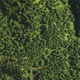 Satellite imagery of Dirty Spur, NZ