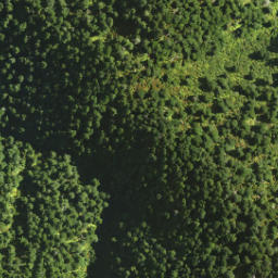 Satellite imagery of Dirty Spur, NZ
