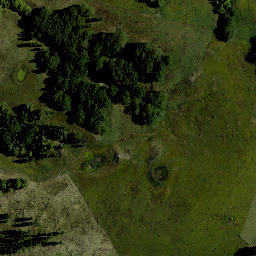 Satellite imagery of Te Rahui, NZ