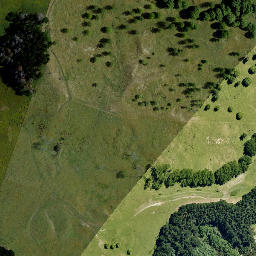 Satellite imagery of Te Rahui, NZ
