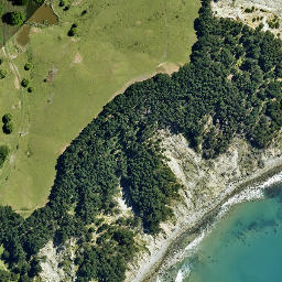 Satellite imagery of Te Rahui, NZ